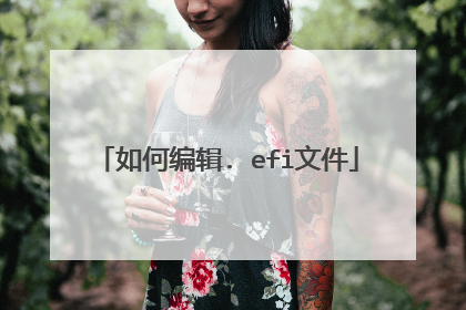 如何编辑. efi文件