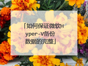 如何保证微软Hyper-V备份数据的完整