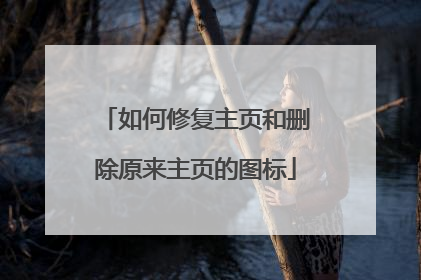 如何修复主页和删除原来主页的图标