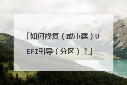 如何修复(或重建)UEFI引导(分区)?