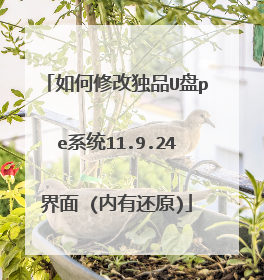如何修改独品U盘pe系统11.9.24界面 (内有还原)