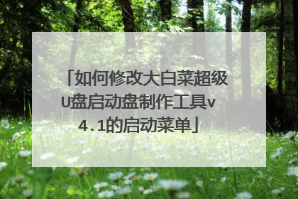 如何修改大白菜超级U盘启动盘制作工具v4.1的启动菜单