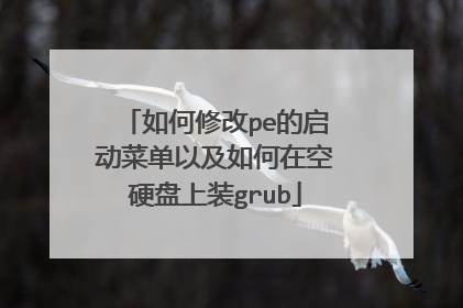 如何修改pe的启动菜单以及如何在空硬盘上装grub