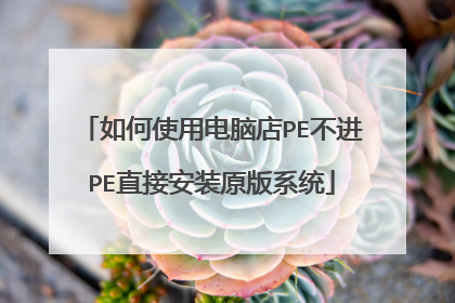 如何使用电脑店PE不进PE直接安装原版系统
