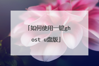 如何使用一键ghost u盘版