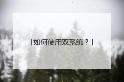 如何使用双系统？