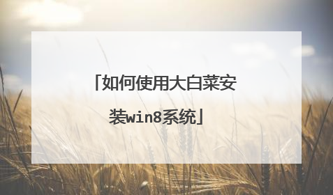 如何使用大白菜安装win8系统