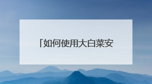 如何使用大白菜安装win8系ǻ
