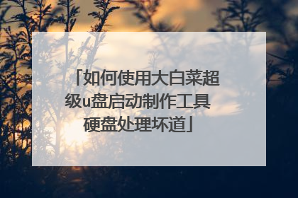 如何使用大白菜超级u盘启动制作工具硬盘处理坏道