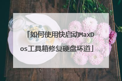 如何使用快启动MaxDos工具箱修复硬盘坏道