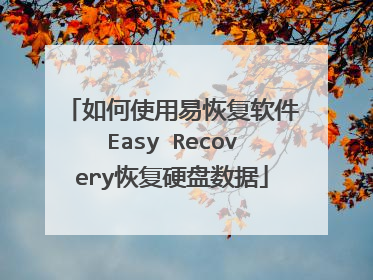 如何使用易恢复软件Easy Recovery恢复硬盘数据