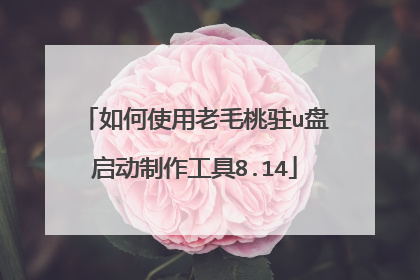 如何使用老毛桃驻u盘启动制作工具8.14