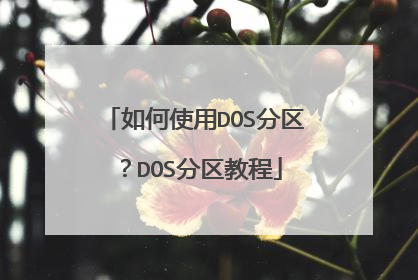 如何使用DOS分区?DOS分区教程