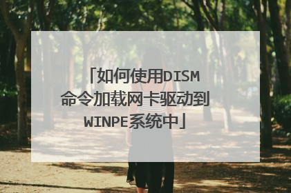 如何使用DISM命令加载网卡驱动到WINPE系统中