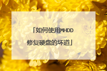 如何使用MHDD修复硬盘的坏道