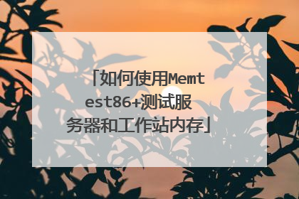 如何使用Memtest86+测试服务器和工作站内存