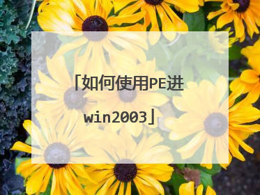 如何使用PE进win2003