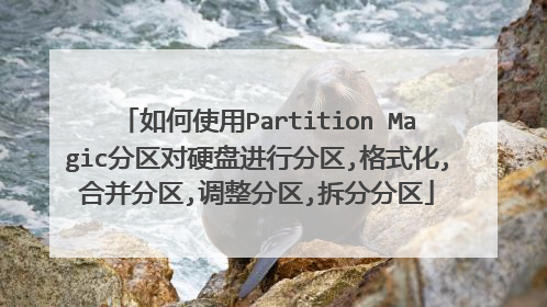 如何使用Partition Magic分区对硬盘进行分区,格式化,合并分区,调整分区,拆分分区