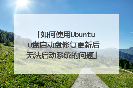 如何使用Ubuntu U盘启动盘修复更新后无法启动系统的问题