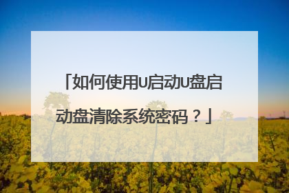 如何使用U启动U盘启动盘清除系统密码?