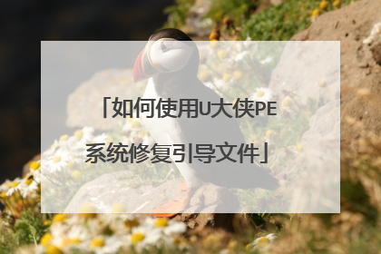如何使用U大侠PE系统修复引导文件