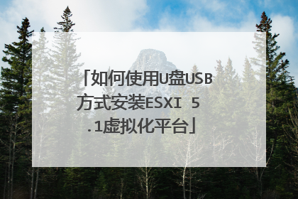如何使用U盘USB方式安装ESXI 5.1虚拟化平台
