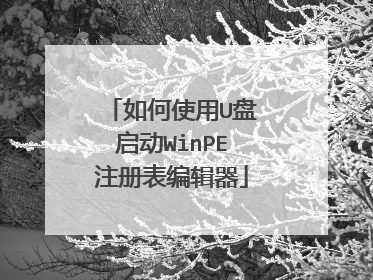 如何使用U盘启动WinPE注册表编辑器