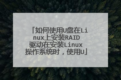 如何使用U盘在Linux上安装RAID驱动在安装Linux操作系统时,使用U