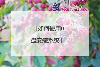 如何使用U盘安装系统