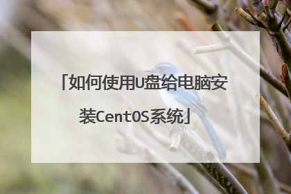 如何使用U盘给电脑安装CentOS系统