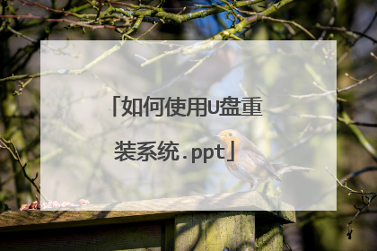如何使用U盘重装系统.ppt