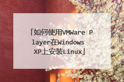 如何使用VMWare Player在Windows XP上安装Linux