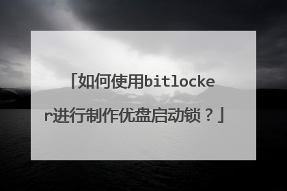 如何使用bitlocker进行制作优盘启动锁?
