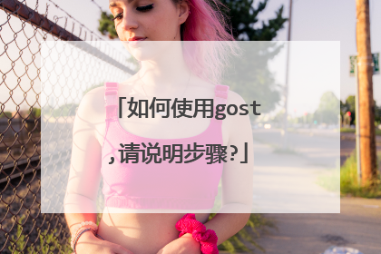 如何使用gost,请说明步骤?