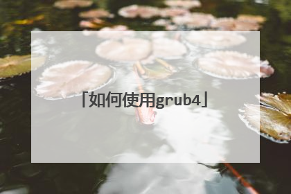 如何使用grub4