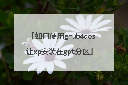 如何使用grub4dos让xp安装在gpt分区