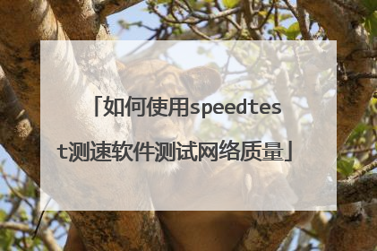 如何使用speedtest测速软件测试网络质量