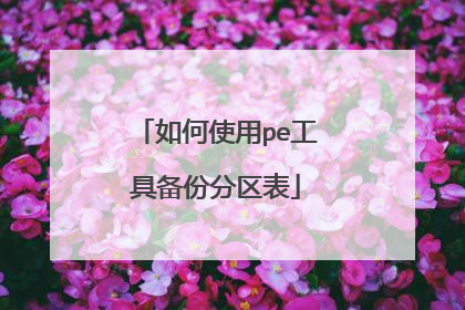 如何使用pe工具备份分区表