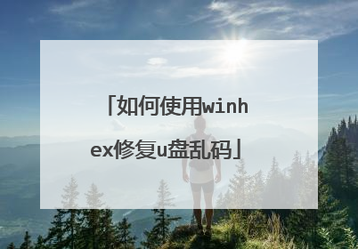 如何使用winhex修复u盘乱码