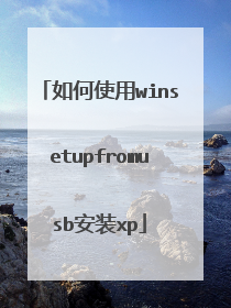 如何使用winsetupfromusb安装xp