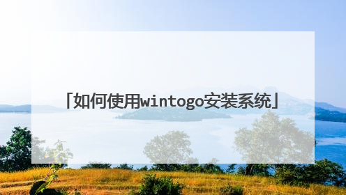 如何使用wintogo安装系统
