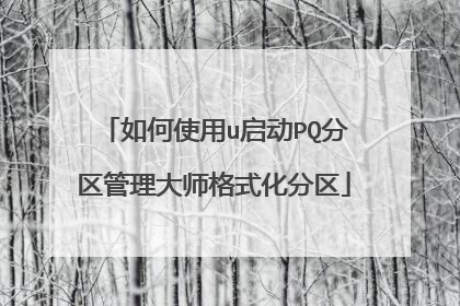 如何使用u启动PQ分区管理大师格式化分区