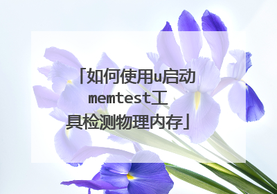 如何使用u启动memtest工具检测物理内存