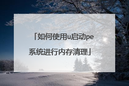如何使用u启动pe系统进行内存清理
