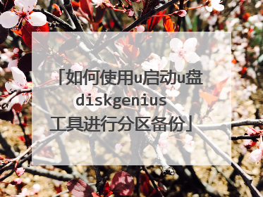 如何使用u启动u盘diskgenius工具进行分区备份