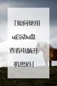 如何使用u启动u盘查看电脑开机密码
