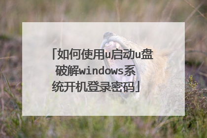 如何使用u启动u盘破解windows系统开机登录密码