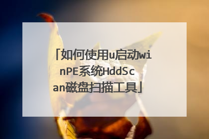 如何使用u启动winPE系统HddScan磁盘扫描工具