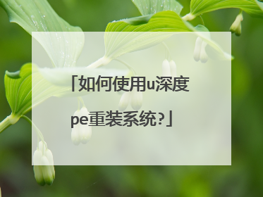 如何使用u深度pe重装系统?