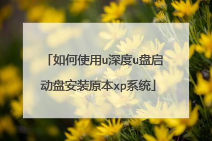 如何使用u深度u盘启动盘安装原本xp系统